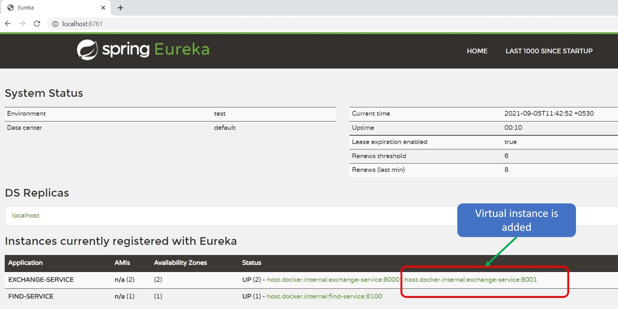 virtual instance added on eureka server